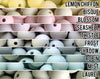 Mini Abacus Mist Silicone Beads - Dreamy Palette - 5-1,000 (aka greenish white, light green, pastel green) Bulk Silicone Beads Wholesale